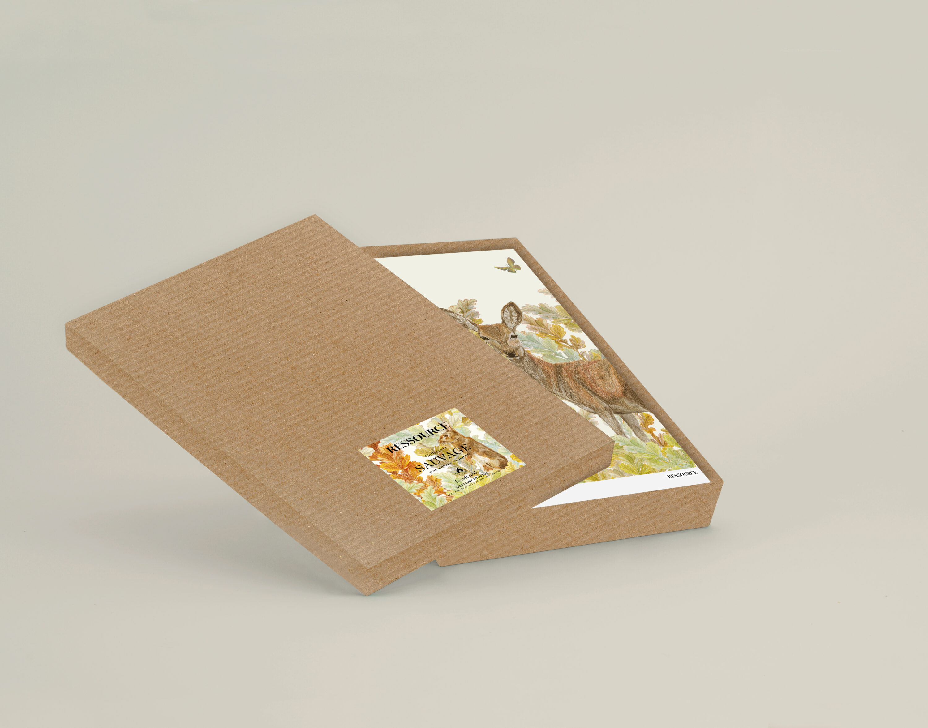 coffret A4 sauvage lessivable