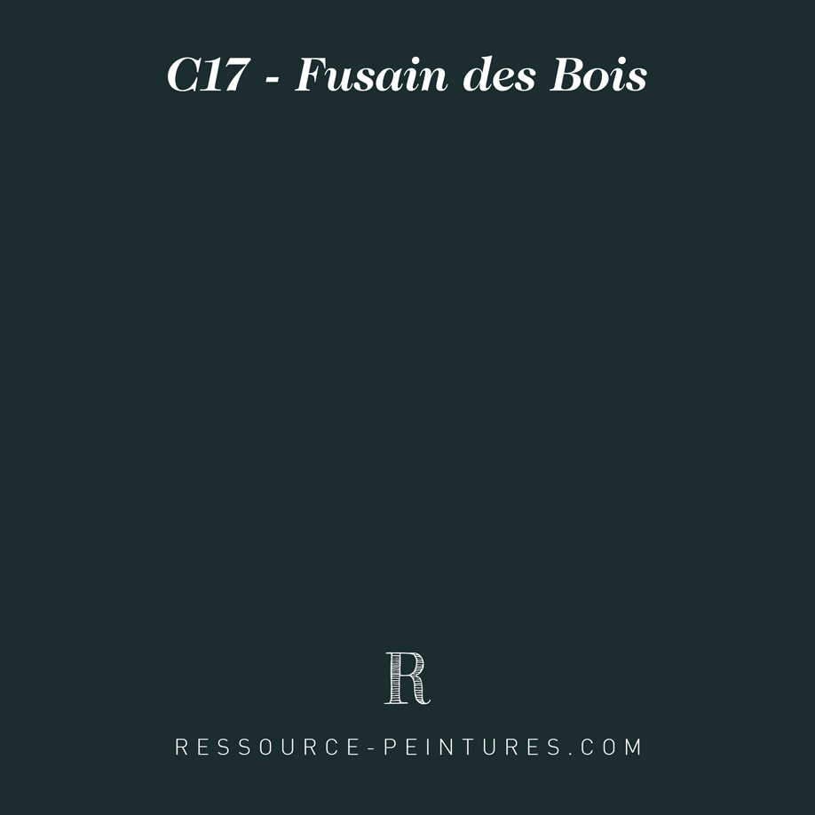 ressource-teinte-C17