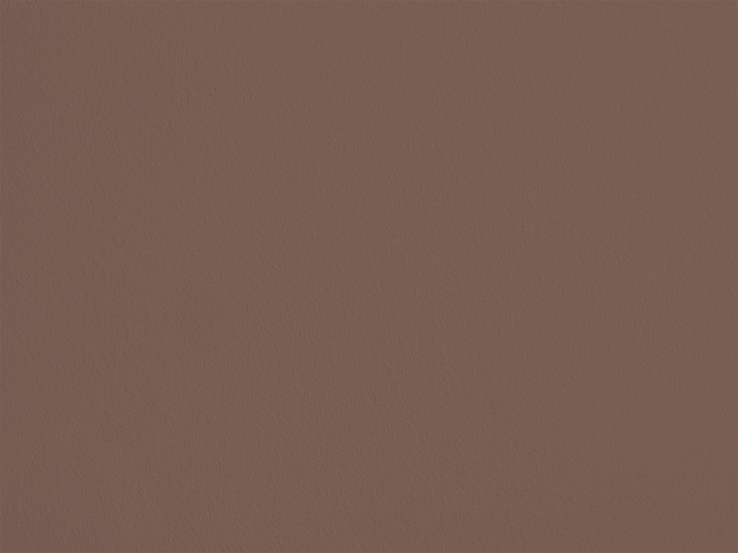  Beige  Chameau S41 Ressource Peintures