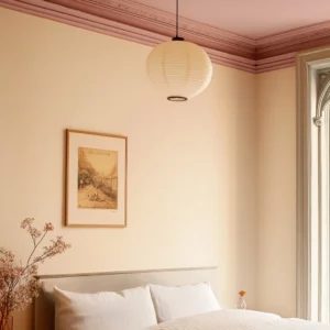 HEJU10 - Hêtre Savonné