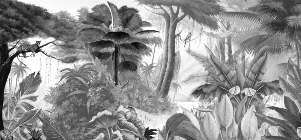 Paradis des Tropiques Noir & Blanc - PPANB01