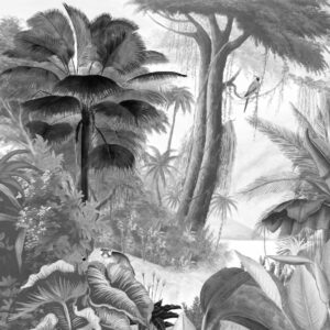 Paradis des Tropiques Noir & Blanc - PPANB01