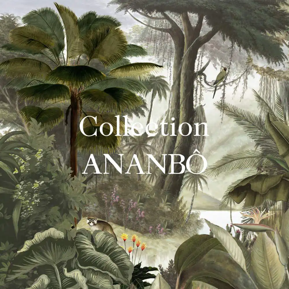 Collection Ananbo x Ressource