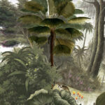 Paradis des Tropiques Couleur grand - PPANB07
