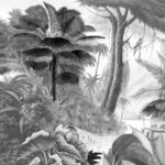 Paradis des Tropiques Noir & Blanc petit - ANB01