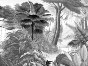 Paradis des Tropiques Noir & Blanc petit - ANB01