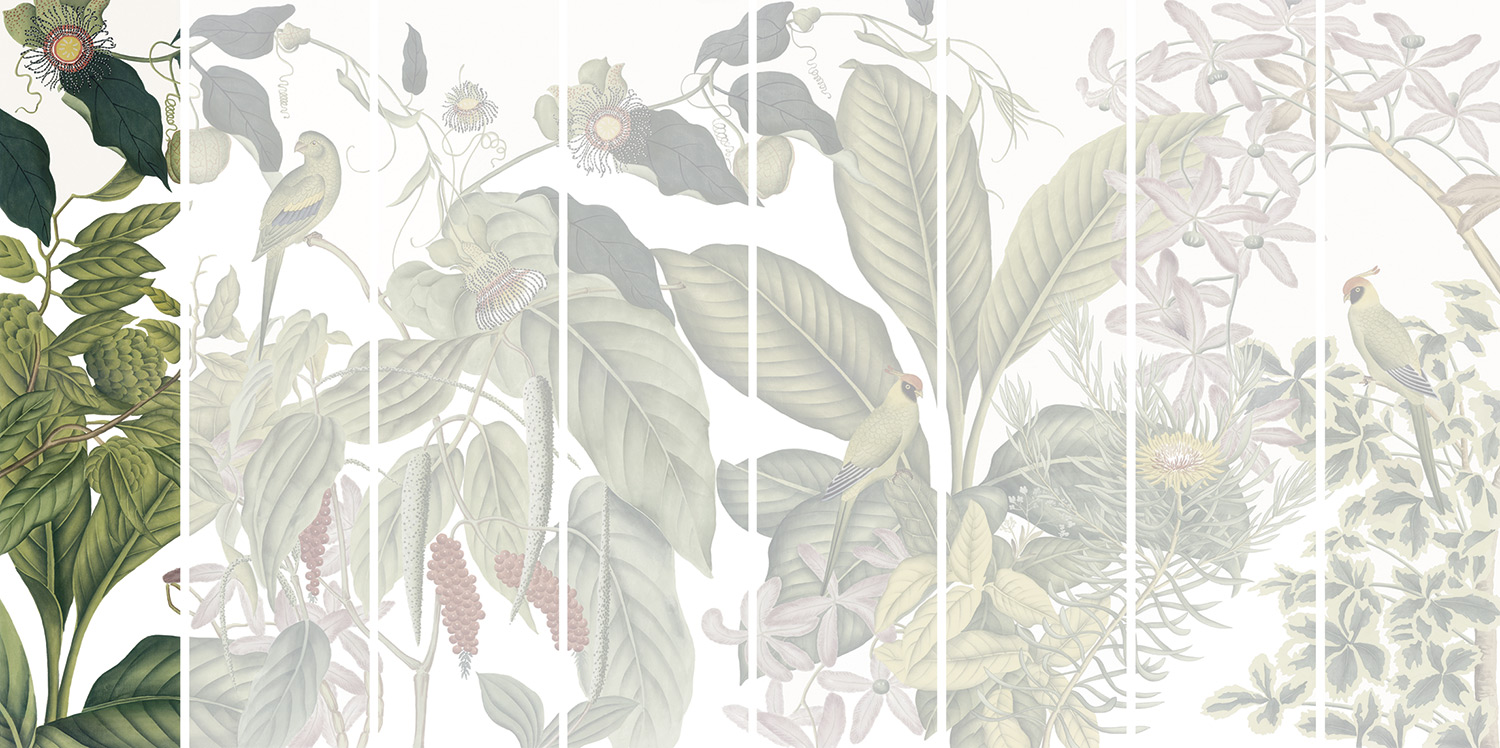 Andamam Couleurs Grand PPANB13 Lé 01