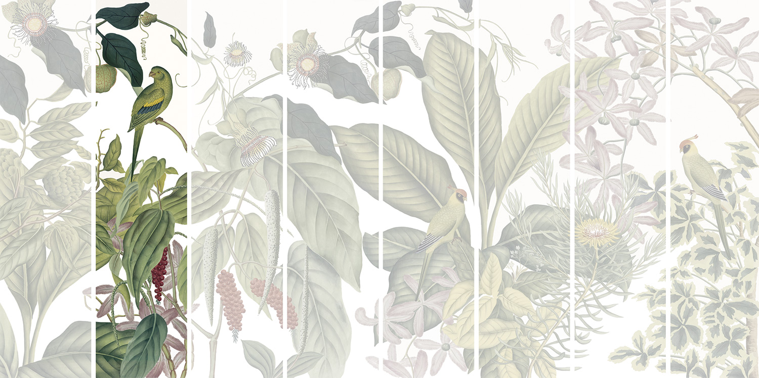 Andamam Couleurs Grand PPANB13 Lé 02