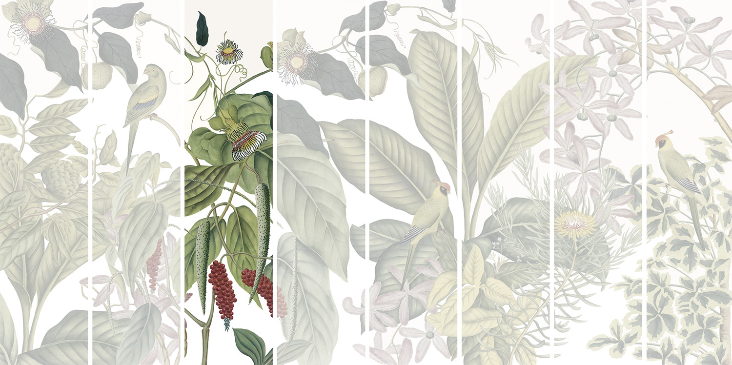 Andamam Couleurs Grand PPANB13 Lé 03