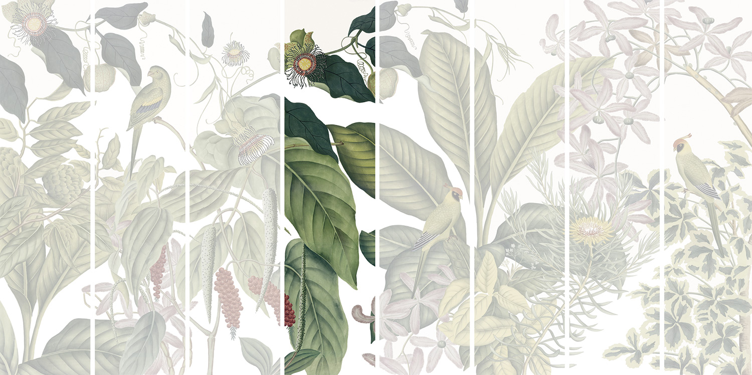 Andamam Couleurs Grand PPANB13 Lé 04