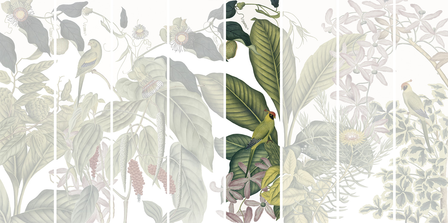 Andamam Couleurs Grand PPANB13 Lé 05