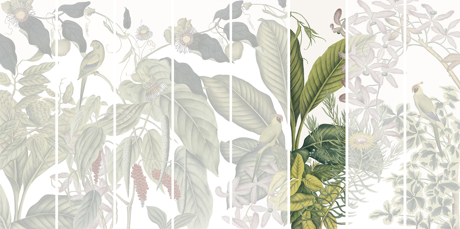 Andamam Couleurs Grand PPANB13 Lé 06