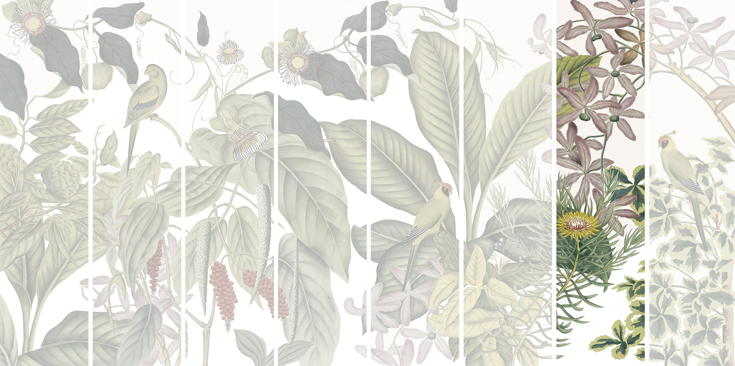 Andamam Couleurs Grand PPANB13 Lé 07