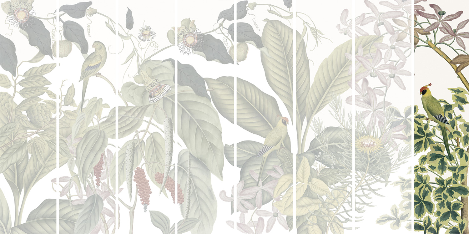 Andamam Couleurs Grand PPANB13 Lé 08