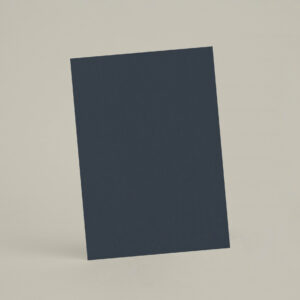 Échantillon A4 Chaux Brossée Radis Noir - chSL11