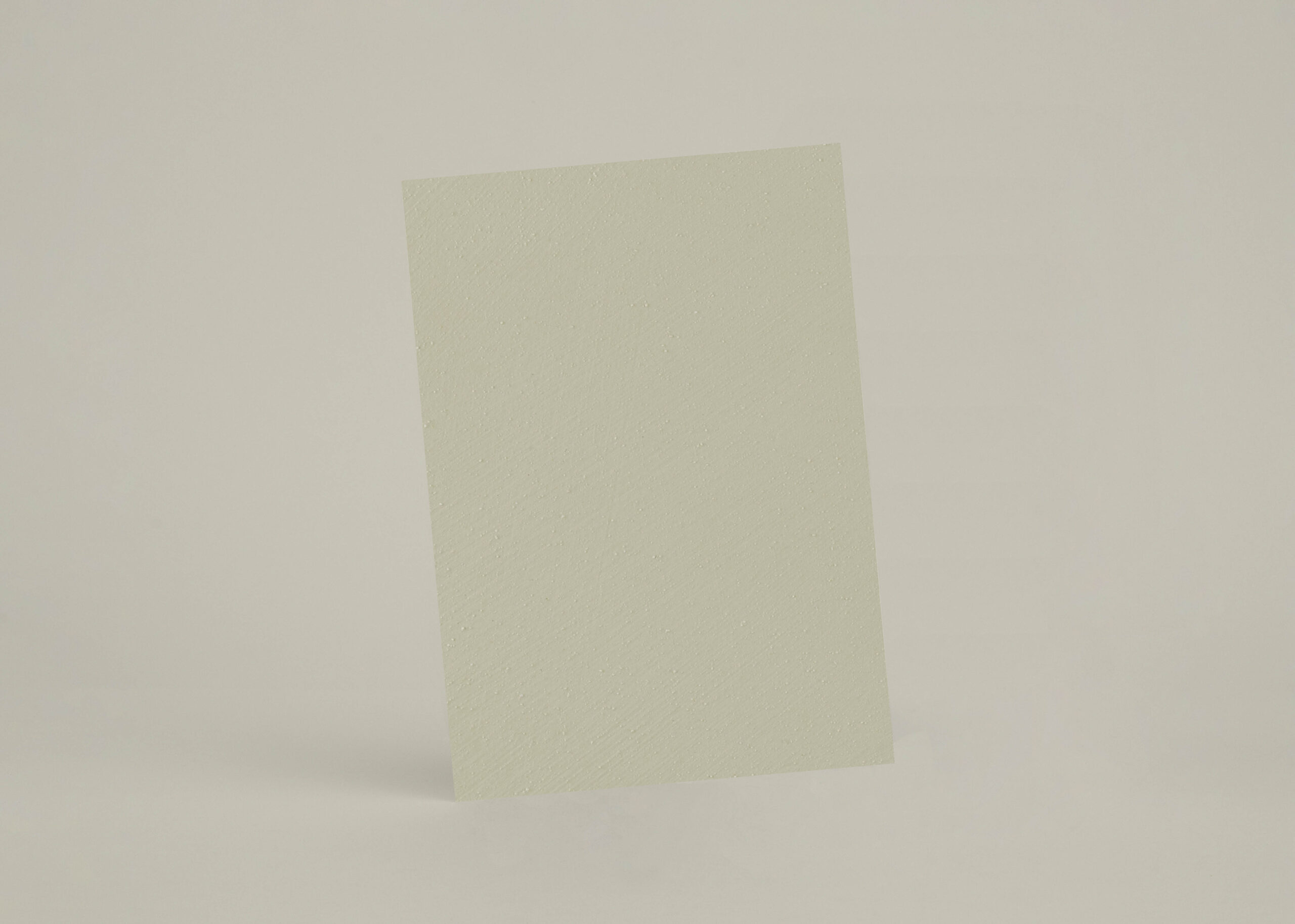 Échantillon A4 Chaux Brossée Nude - chSL28