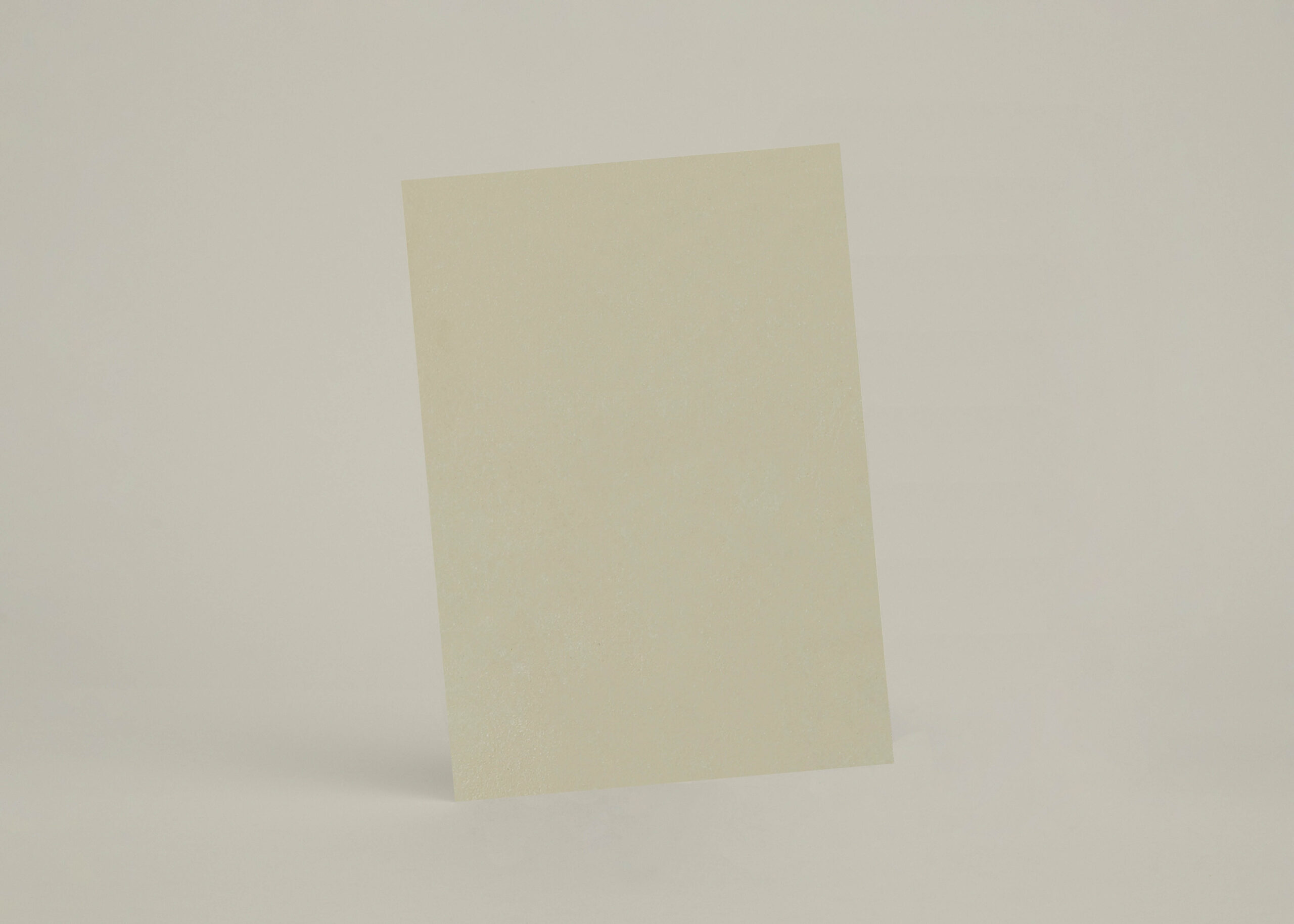 Échantillon A4 Chaux Lissée Nude - chSL28