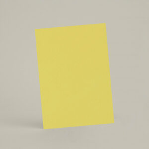 Échantillon A4 Chaux Brossée Coney Island - chSL41