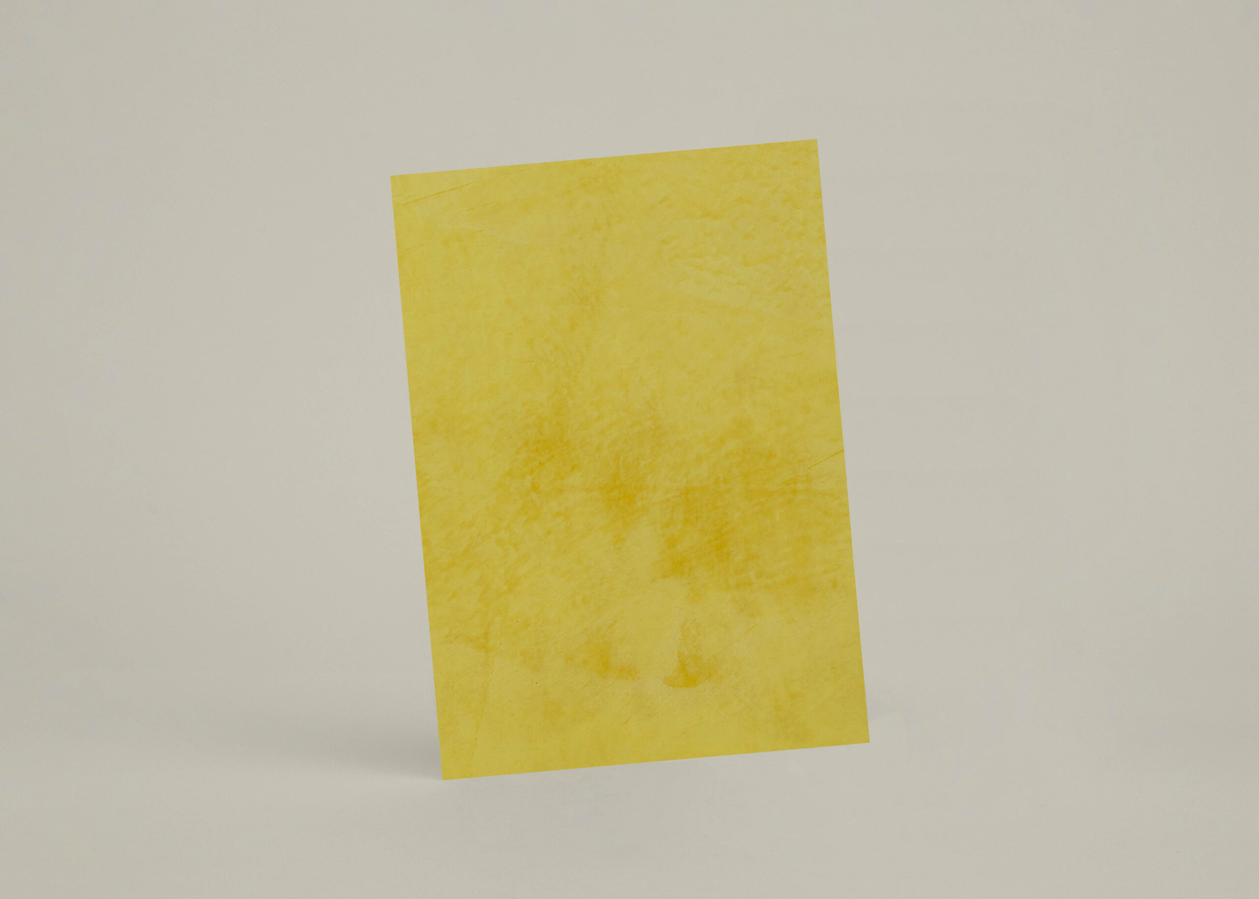 Échantillon A4 Chaux Ferrée Coney Island - chSL41