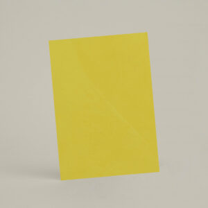 Échantillon A4 Chaux Lissée Coney Island - chSL41