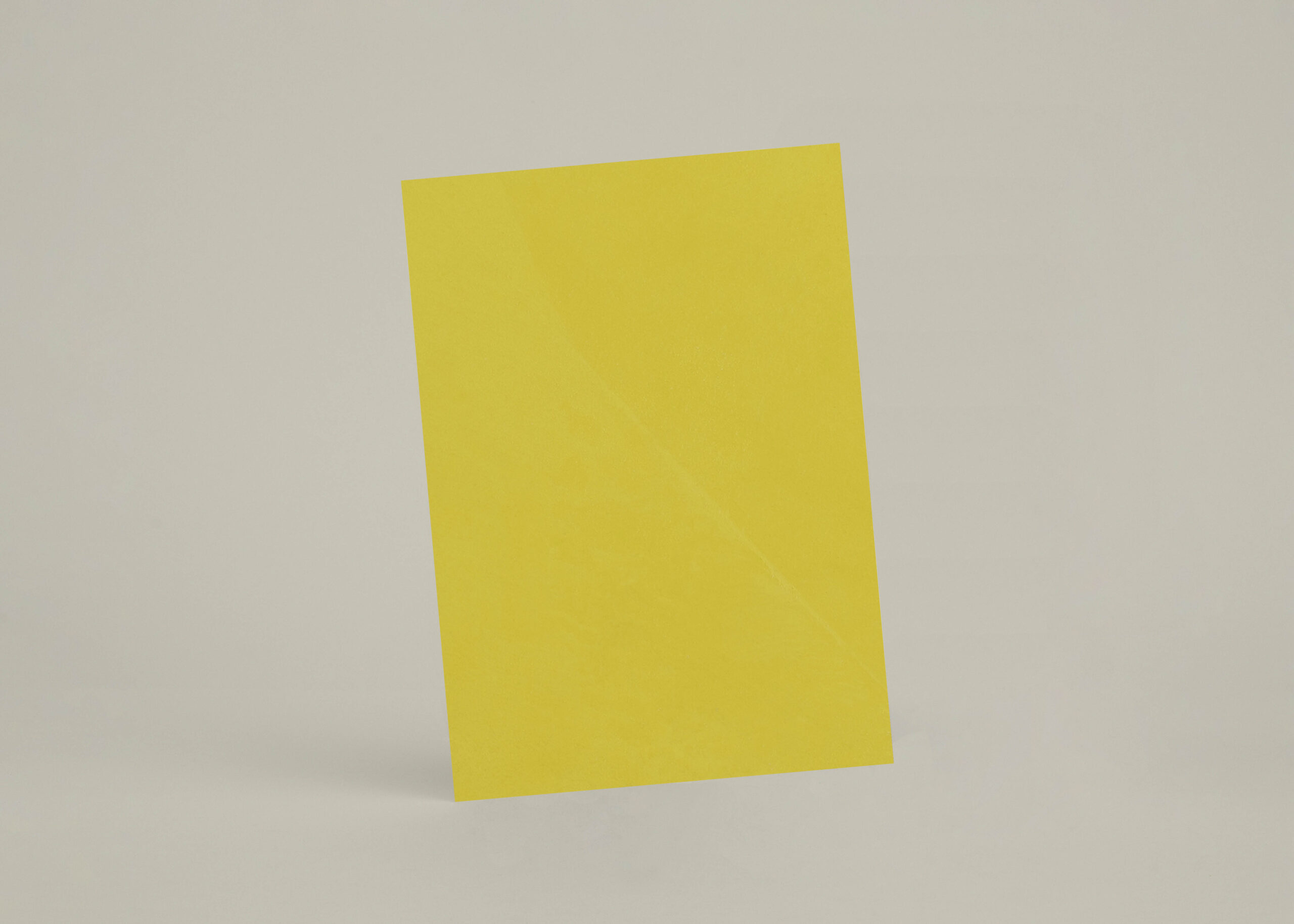 Échantillon A4 Chaux Lissée Coney Island - chSL41