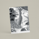 Paradis des Tropiques Noir & Blanc – PPANB01