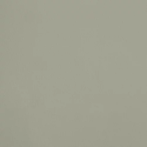 R081 - La Complicité Lichen Entrelacé