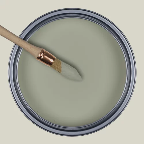 R081 - La Complicité Lichen Entrelacé