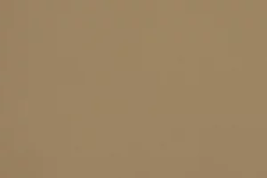 R155 - La Nostalgie Cappuccino Froid