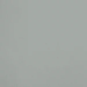 R161 - Le Brouillard Argent Nébuleux, Collection Ressource