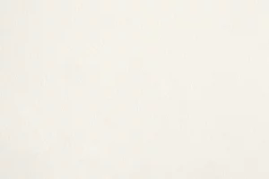 R212 - La Noce Nacre Argentée