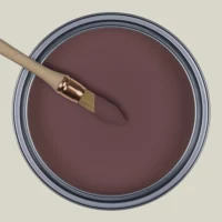 R267 - La Délectation Myrtille Succulente, Collection Ressource