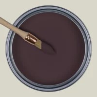 R310 - Le Mélodrame Brun Violine, Collection Ressource