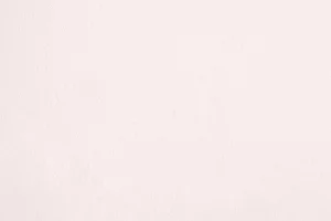 R333 - La Pudeur Eglantine Pudibonde