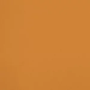 R461 - La Fortune Orange Eblouissant, Collection Ressource