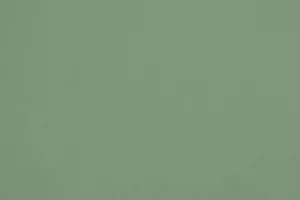 R643 - La Clairière Lichen Champêtre