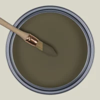 R732 - L'Hédoniste Vert Insouciant, Collection Ressource