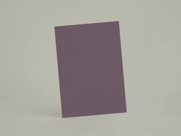 Échantillon
  A6 R423 - L'Espièglerie Violet Malicieux
