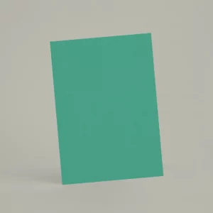 Échantillon
  A6 R713 - Le Panache Turquoise Prestigieux