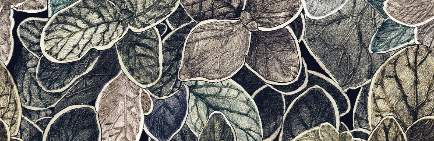 Faune & Flore