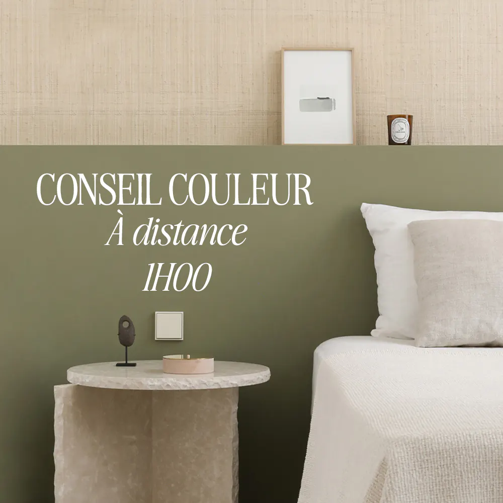 Consultation Conseil couleur en visio – 1h