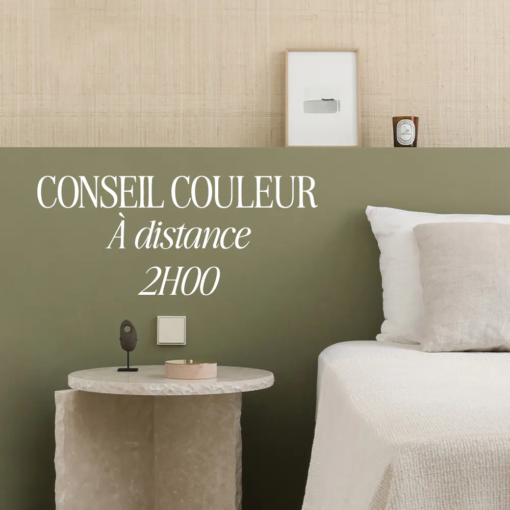 Consultation Conseil couleur en visio – 2h