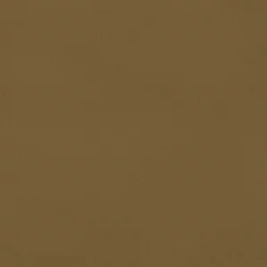 Collection Peinture à la Chaux Maison de
  Vacances x Ressource, teinte RMDV14 effet Brossé