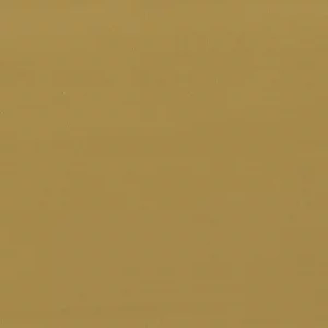 Collection Peinture à la Chaux Maison de
  Vacances x Ressource, teinte RMDV25 effet Brossé