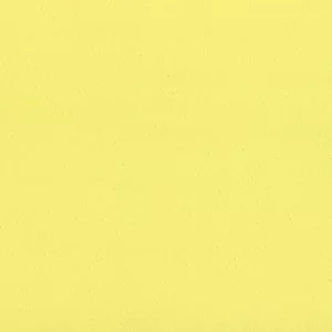 Collection Peinture à la Chaux Maison de
  Vacances x Ressource, teinte RMDV28 effet Brossé