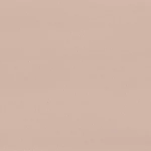 Collection Peinture à la Chaux Maison de
  Vacances x Ressource, teinte RMDV40 effet Brossé