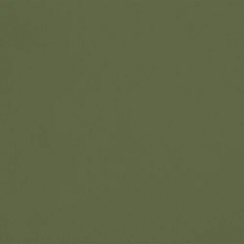 AP22 - Vert Dragon