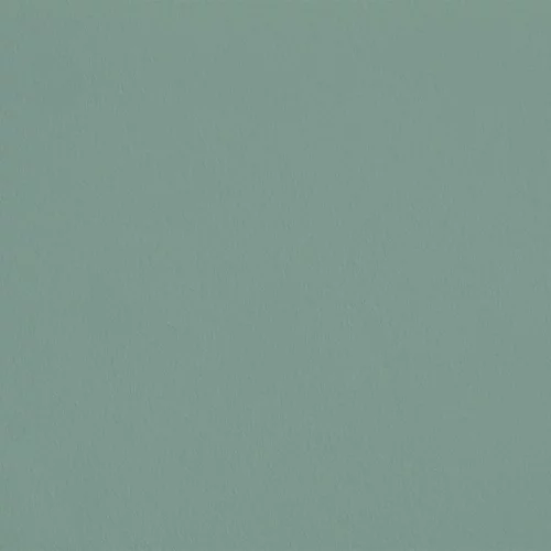 AP24 - Mer des Sargasses