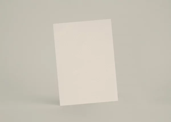 Échantillon AP02 - Blanc Papier