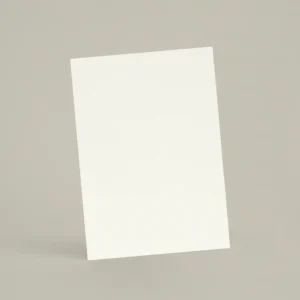 Échantillon A6 Chaux brossée chSL01 - Neige